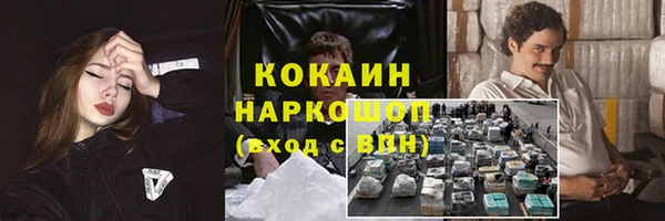 шишки Горнозаводск